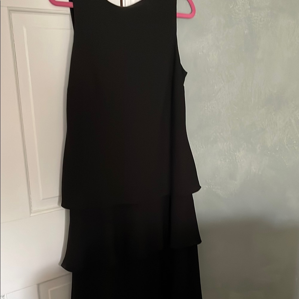 Elegant Black Sleeveless Evan Picone Dress